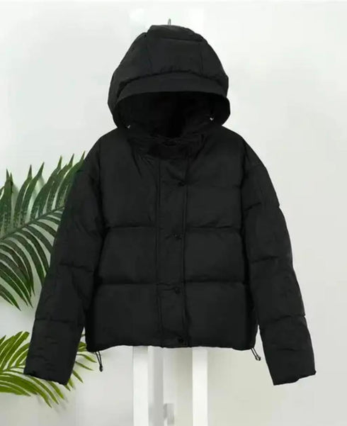 Winter Solid Color Hooded Puffer Jackets